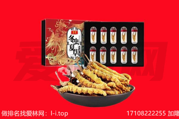 果洛虫草回收